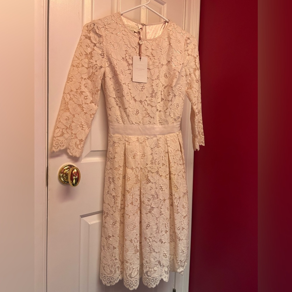 Ted Baker London Soft Light Pink Lace Midi Dress